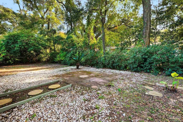 view of yard featuring a patio area