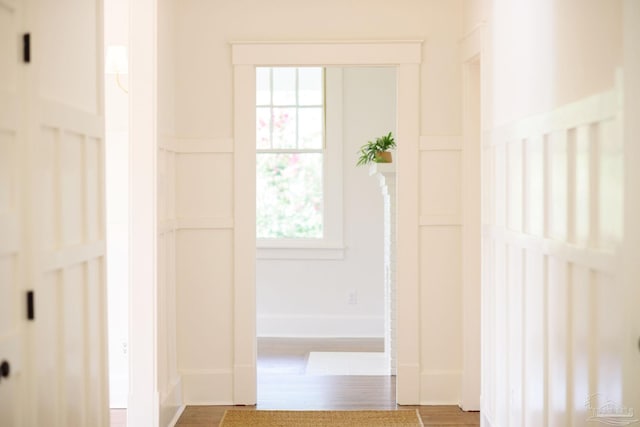 hallway featuring wood-type flooring