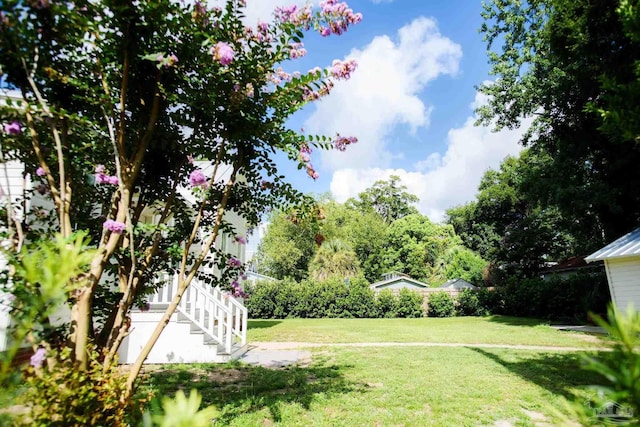 1524 E Strong St, Pensacola, FL 32501 - view of green lawn