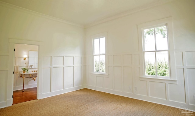 spare room with light carpet and ornamental molding