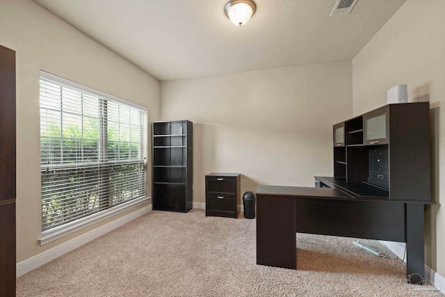 carpeted home office with a wealth of natural light