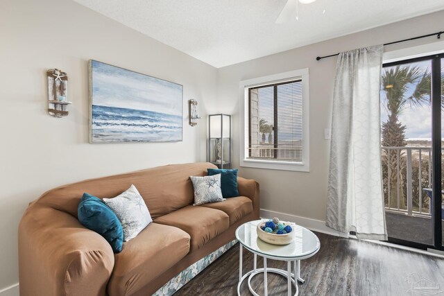 living room featuring dark hardwood / wood-style flooring