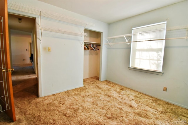 walk in closet featuring carpet flooring