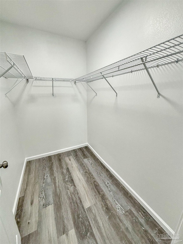 spacious closet featuring dark wood-style floors