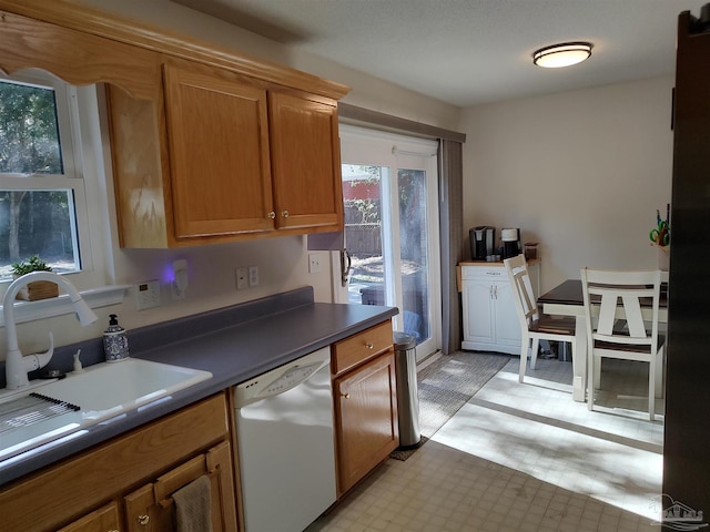 kitchen with sink and white dishwasher