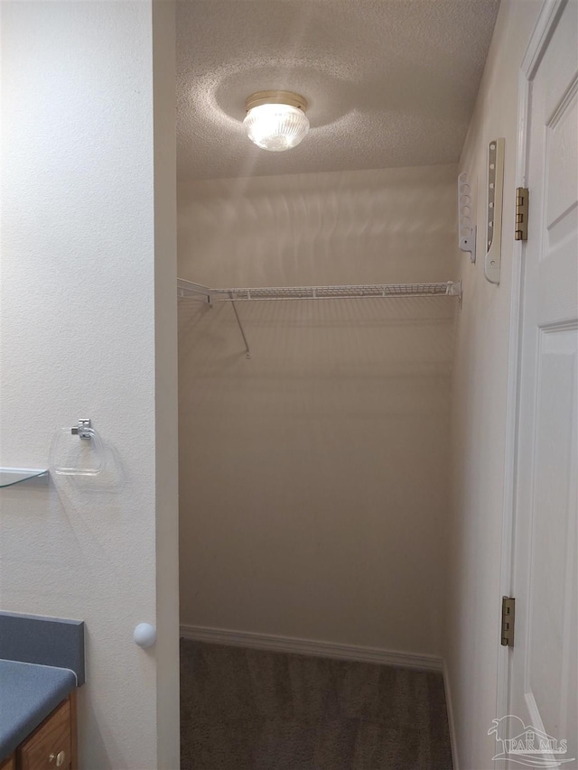 spacious closet featuring carpet flooring