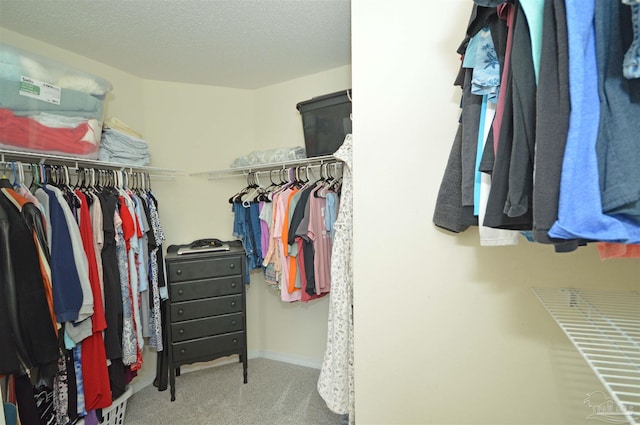 5735 Farrel Way, Milton, FL 32583 - walk in closet featuring carpet flooring