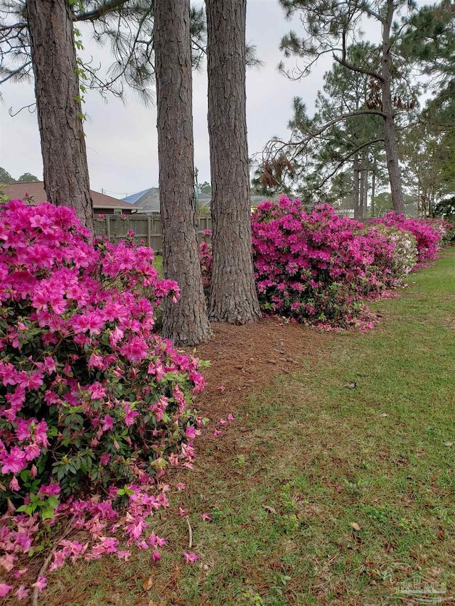 5735 Farrel Way, Milton, FL 32583 - view of yard