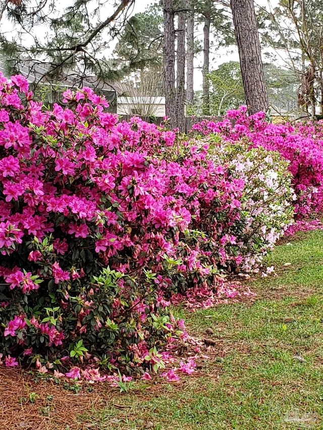 5735 Farrel Way, Milton, FL 32583 - view of yard