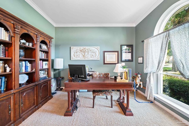 carpeted home office featuring crown molding and a wealth of natural light