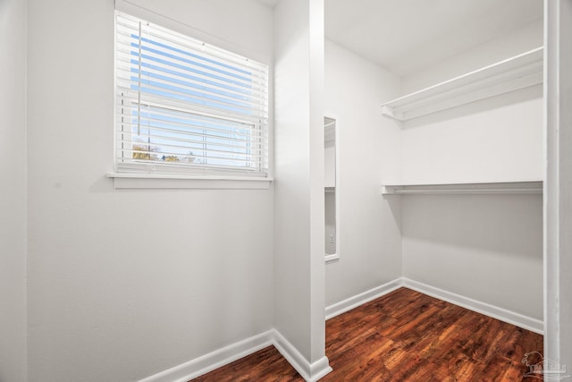 walk in closet featuring dark wood finished floors