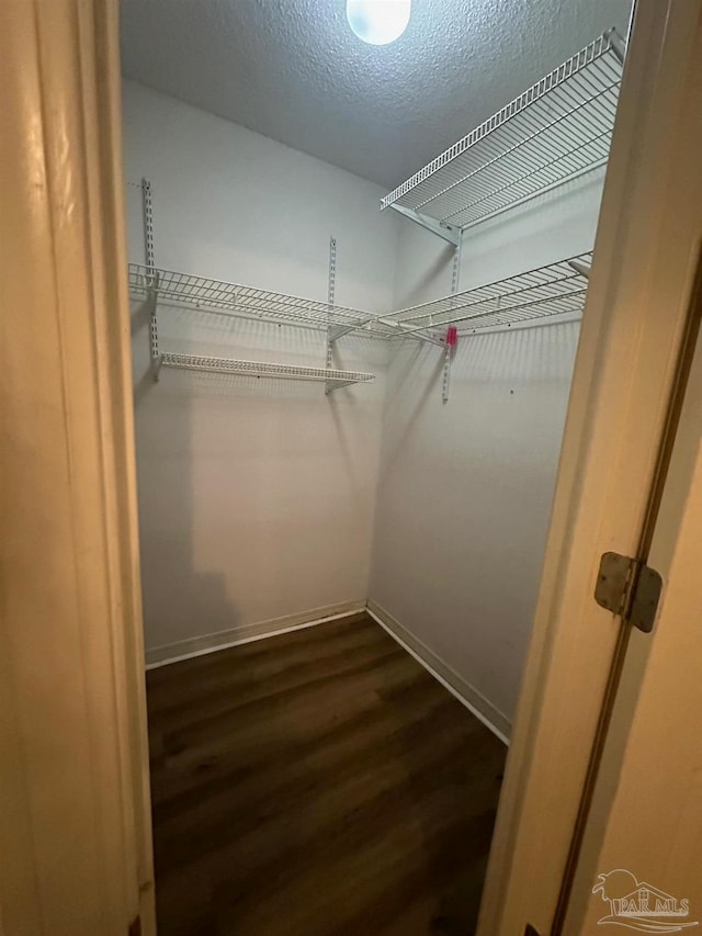 spacious closet featuring dark wood-type flooring