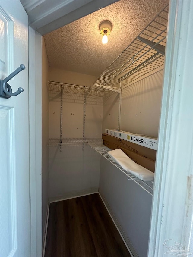 spacious closet featuring dark wood-type flooring