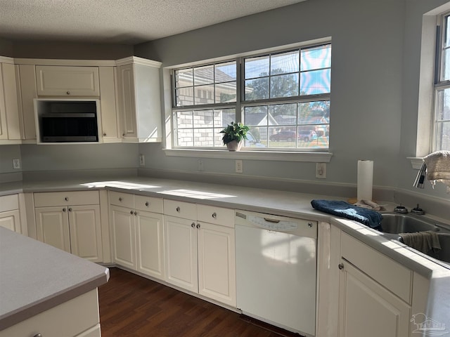 kitchen with dark wood-type flooring, plenty of natural light, a textured ceiling, white dishwasher, and light countertops