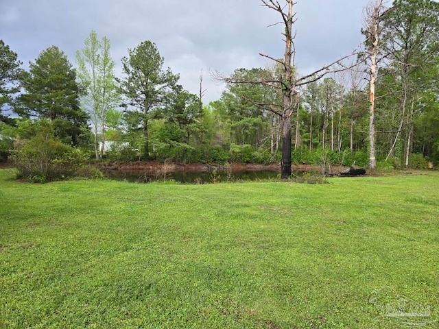 4940 Dawson Rd, Century, FL 32535 - view of yard featuring a wooded view