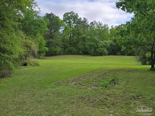 4940 Dawson Rd, Century, FL 32535 - view of yard