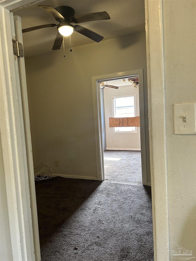 hallway with carpet