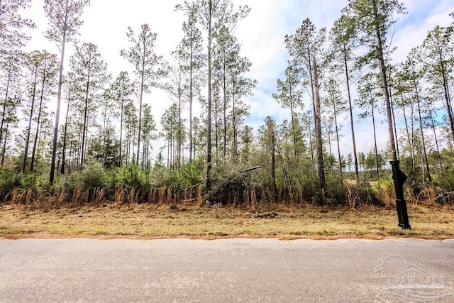 Listing photo 3 for LOT64 Sage Forest Ln, Pace FL 32571