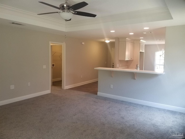 carpeted spare room featuring ceiling fan, a raised ceiling, sink, and crown molding