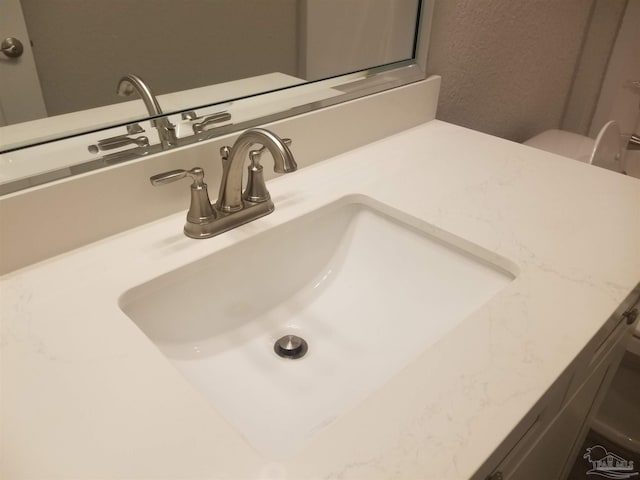 room details with vanity and toilet