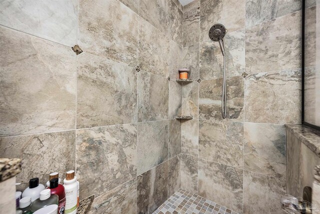 room details with tiled shower