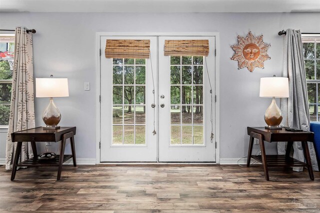 doorway featuring a healthy amount of sunlight and french doors