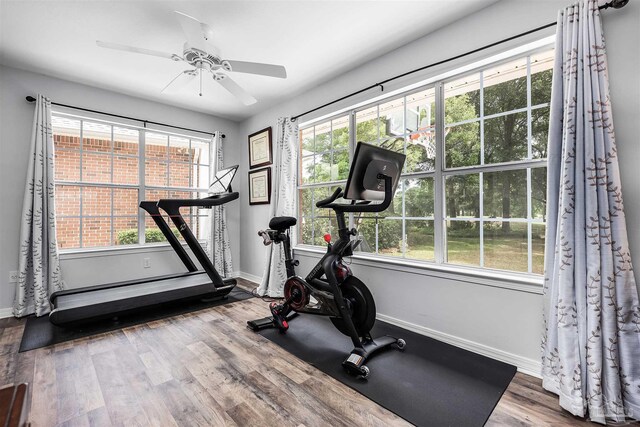 exercise area featuring a healthy amount of sunlight, ceiling fan, and hardwood / wood-style flooring