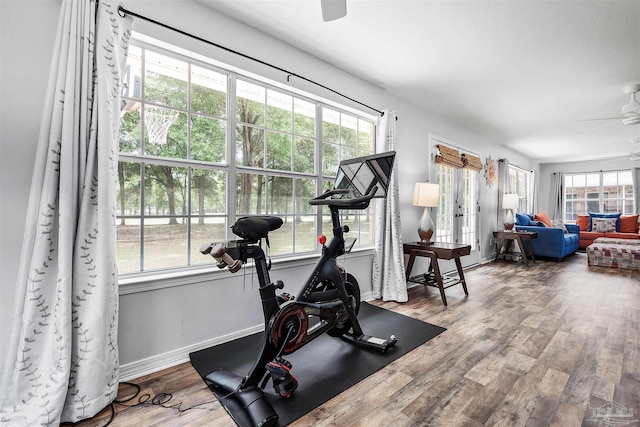 exercise room with wood-type flooring, ceiling fan, and plenty of natural light