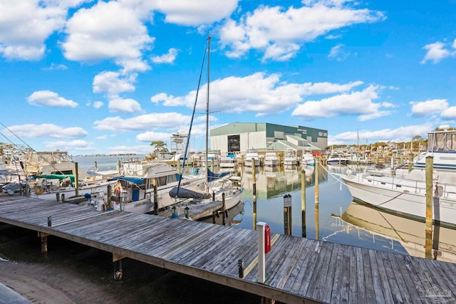 dock area with a water view