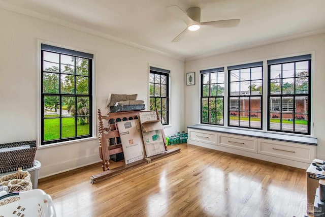 interior space featuring light wood-type flooring, a wealth of natural light, and ornamental molding