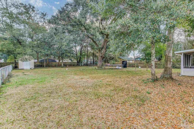 view of yard with a shed