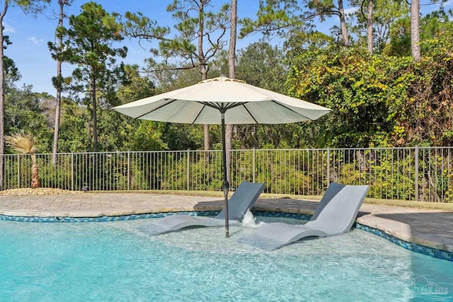 view of swimming pool featuring a patio