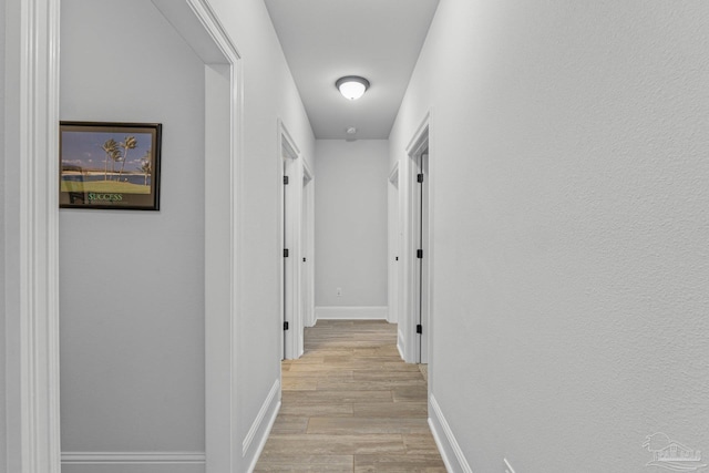 hall with light hardwood / wood-style flooring