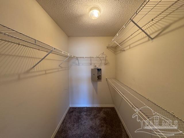 spacious closet featuring carpet floors