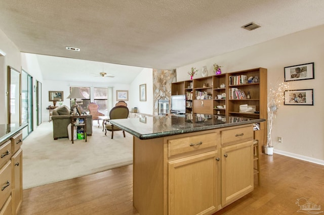 kitchen featuring light wood finished floors, visible vents, and open shelves