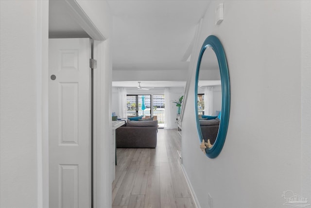 hall with light hardwood / wood-style flooring