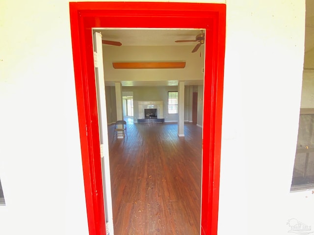 hall with hardwood / wood-style flooring