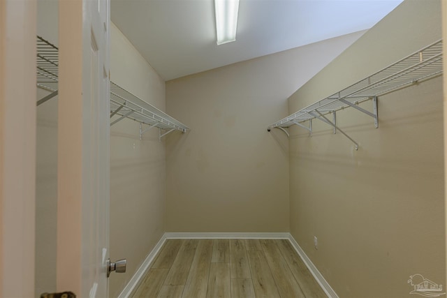 walk in closet featuring wood finished floors