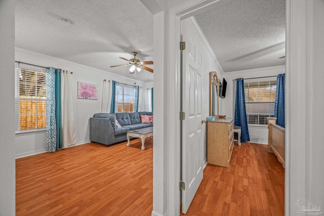 hallway featuring crown molding, baseboards, light wood finished floors, and a textured ceiling