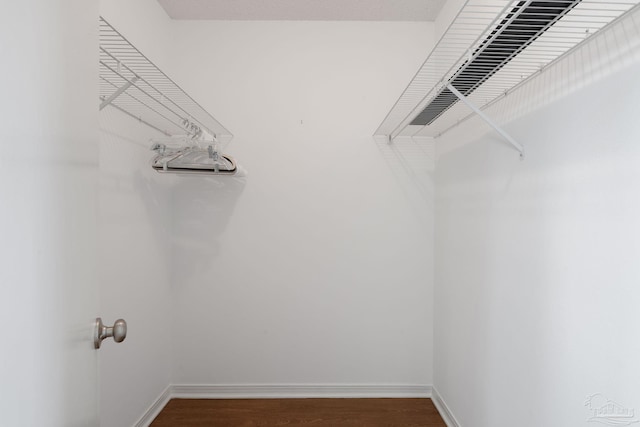 walk in closet featuring dark wood-type flooring