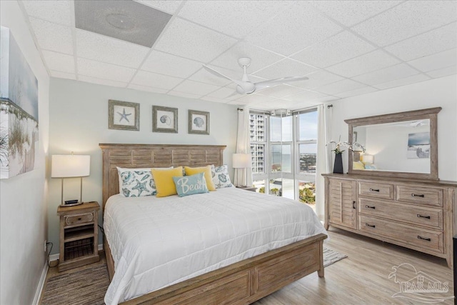 bedroom featuring light hardwood / wood-style floors, a drop ceiling, expansive windows, and ceiling fan