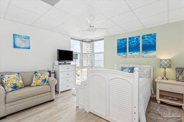 bedroom featuring ceiling fan, a paneled ceiling, and light wood-type flooring