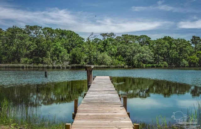 dock area featuring a water view