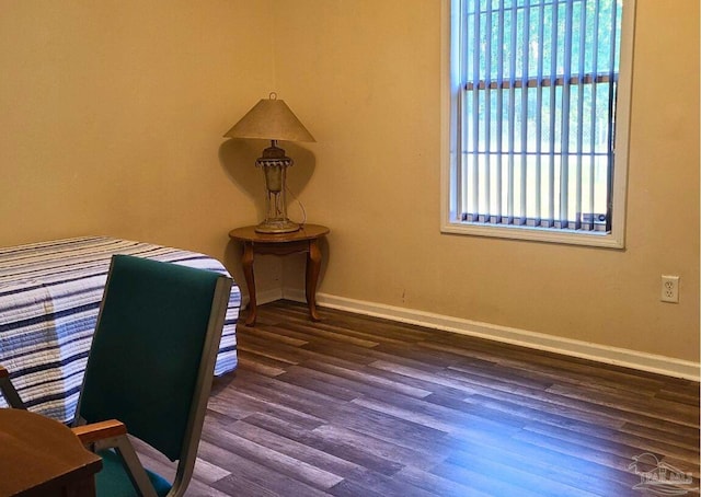 office area featuring dark hardwood / wood-style floors