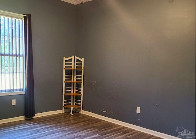 empty room featuring dark wood-type flooring and a wealth of natural light