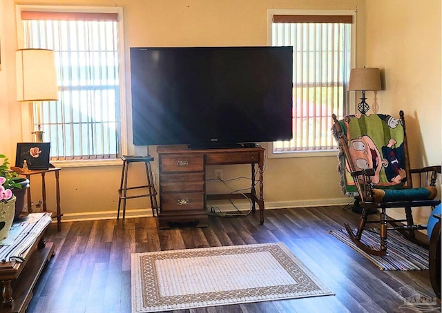 living area with dark hardwood / wood-style floors