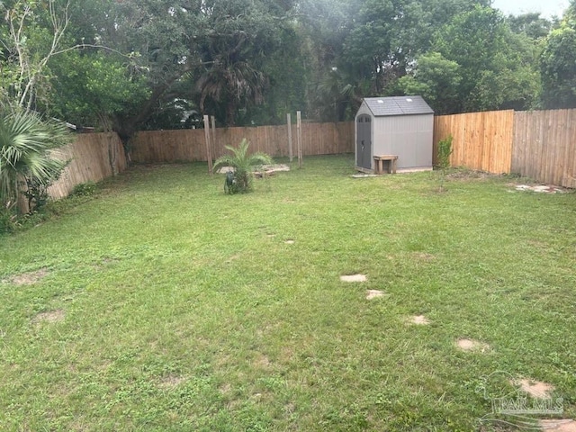 view of yard featuring a shed