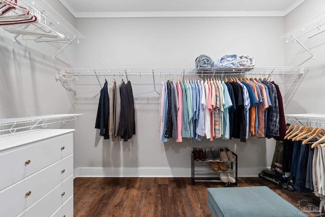 walk in closet featuring wood finished floors