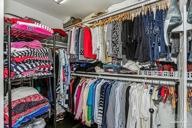view of spacious closet