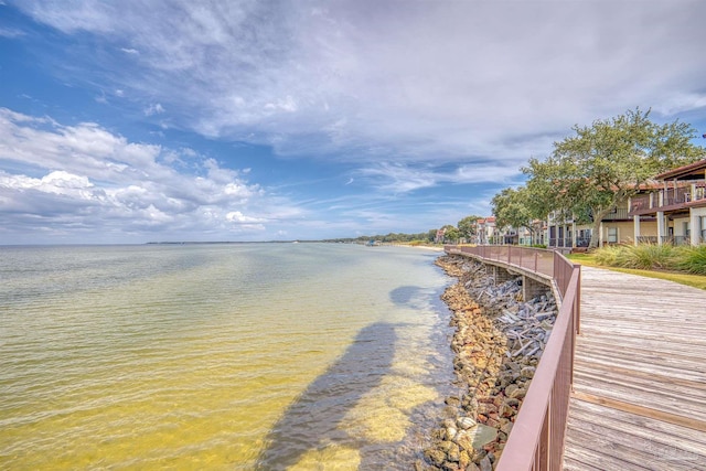 dock area with a water view